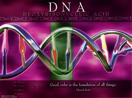 dna